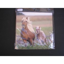 Szalvéta állatos pony